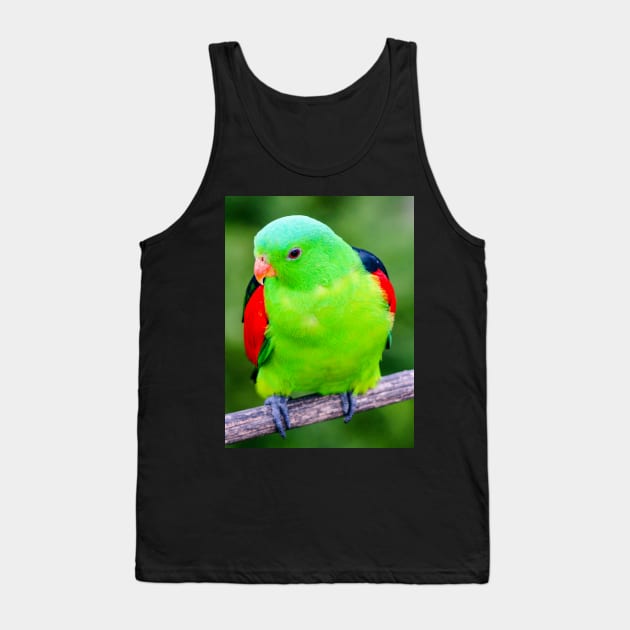 Red-Winged Parrot Tank Top by Upbeat Traveler